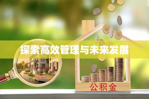 清城探索高效管理与未来发展