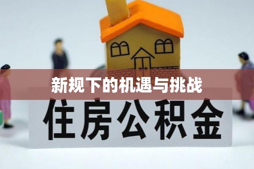 清城新规下的机遇与挑战