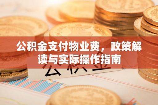 清城公积金支付物业费，政策解读与实际操作指南