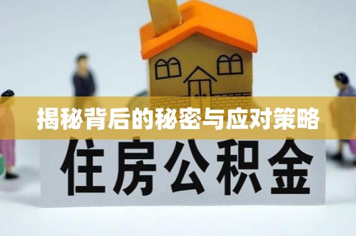 清城揭秘背后的秘密与应对策略
