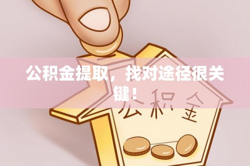 清城公积金提取，找对途径很关键！