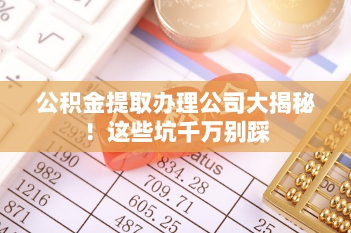 清城公积金提取办理公司大揭秘！这些坑千万别踩