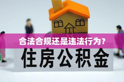 清城合法合规还是违法行为？